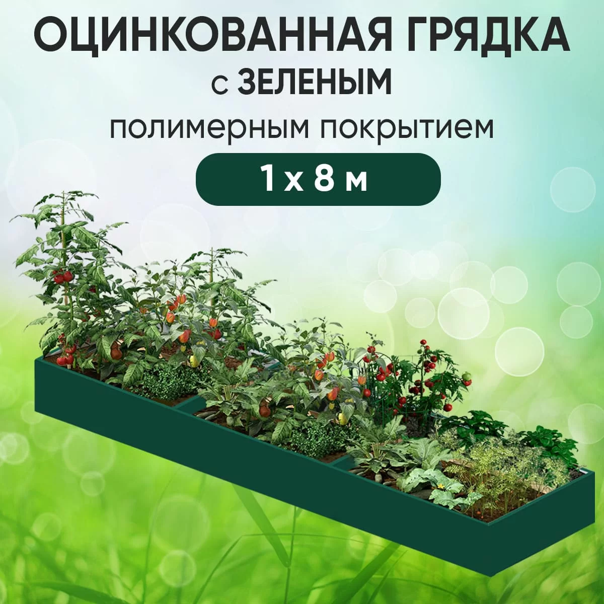 Грядка зеленая (1 х 8)